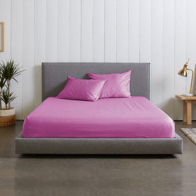 Microfiber Brushed Fitted Sheet