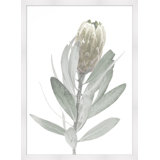 Blanched Plant 7 Print