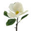 Magnolia Arrangement