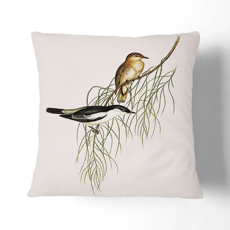 Shouldered Cuckooshrike by Elizabeth Gould Cushion with Filling, Stone, 40cm H x 40cm W x 15cm D