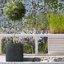 Planter Box-616968742-616968465