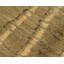 Dragnet Wool Striped Area Rug in Beige/Green-10214121