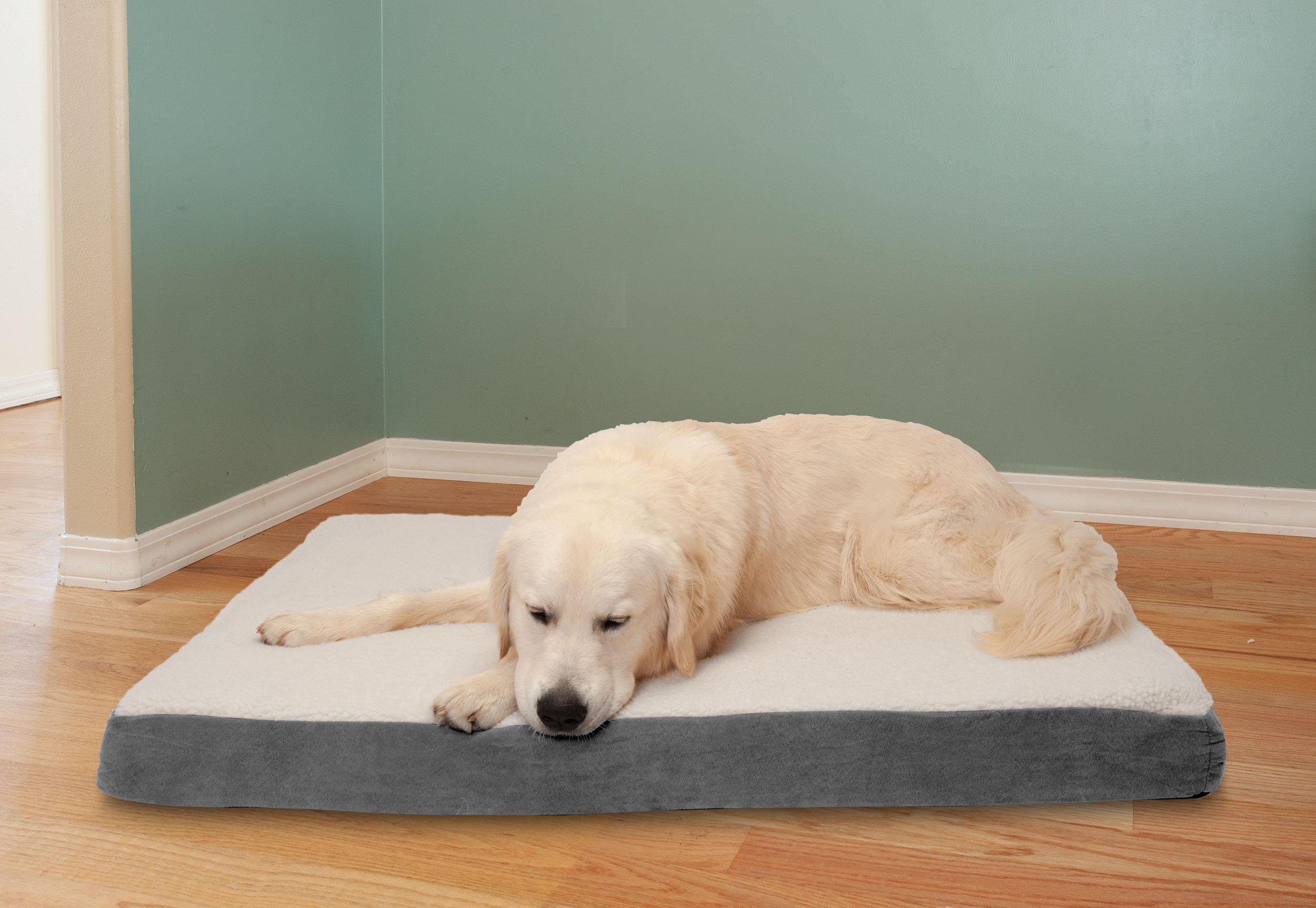 Shredded Memory Foam Fill Refill for Pillow, Bean Bag, Dog Pet Bed Cushion  20lbs
