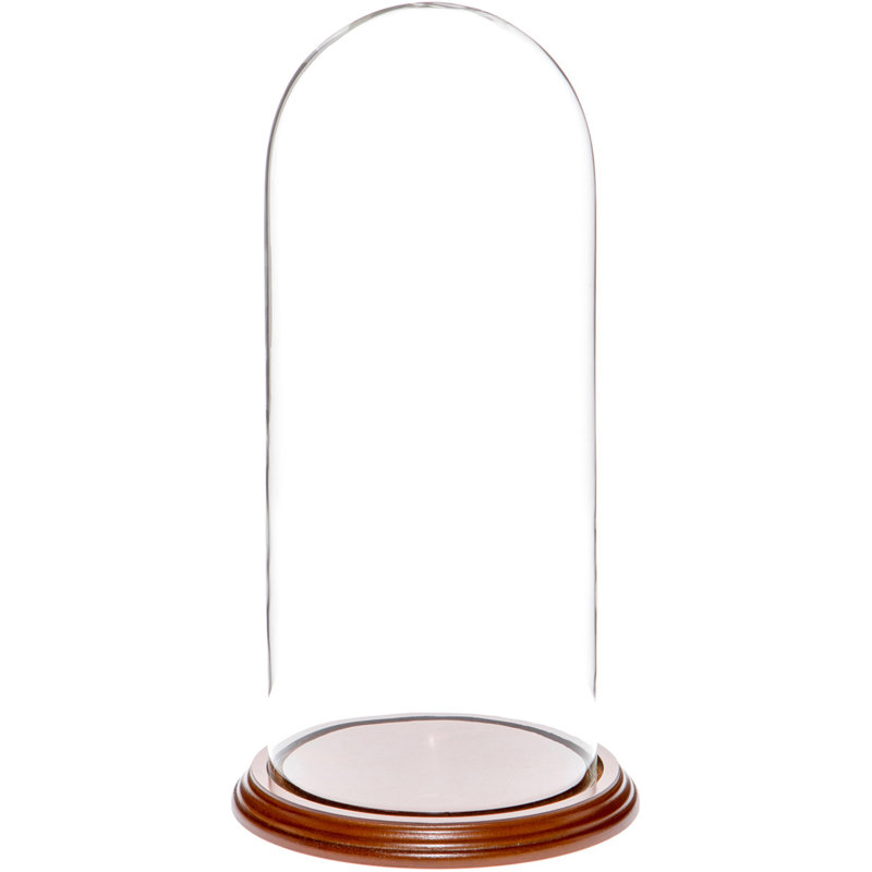 Vucciria 5.5" x 13" Glass Display Dome Cloche, Walnut Veneer Base