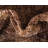 Weese Abstract Indoor Rug-29303280