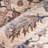 Sabra Oriental Indoor Rug-713896438