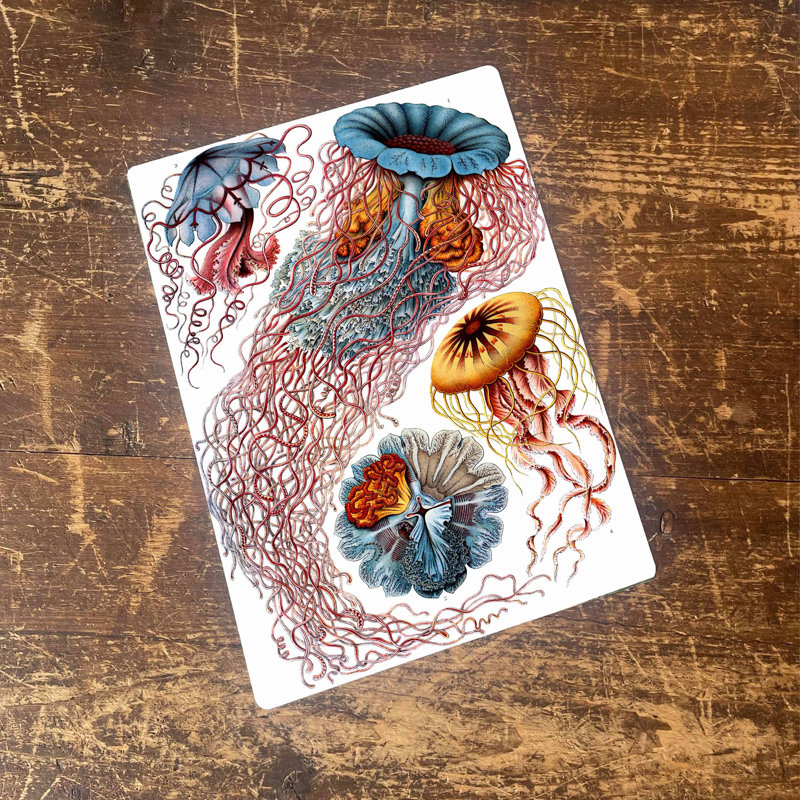 Wall Decor on Metal, 20cm H x 15cm W