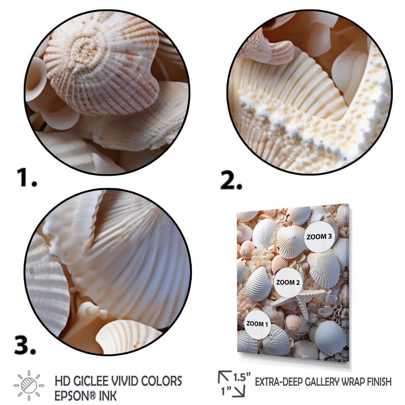 " Beach Photo Seashell Collage IX ", 32" H x 24" W x 1" D, Wrapped Canvas