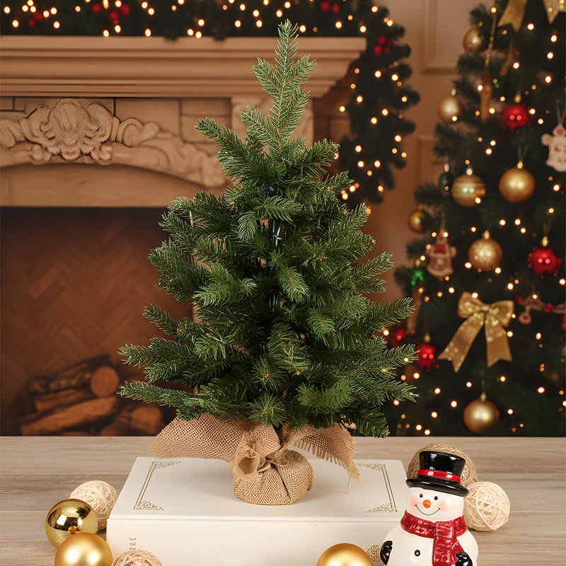Christmas Tree with String Lights