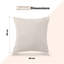 Square Scatter Cushion Cushion Cover-343984982