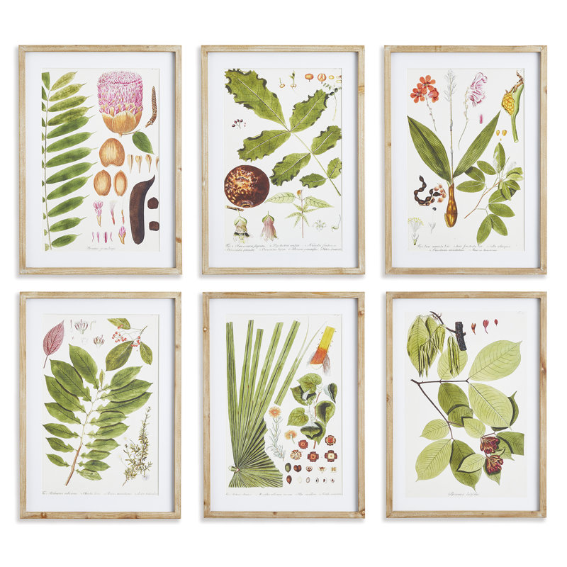 Violeta Leaf Botanical Study Prints, Set of 6