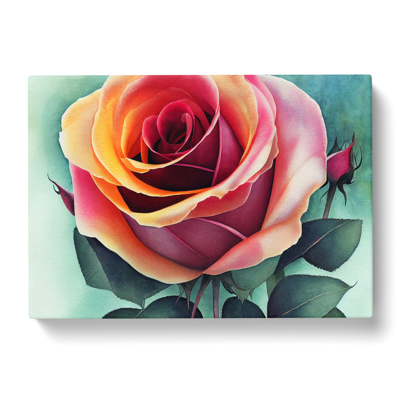 Magnificent Rose Flower - Wrapped Canvas Print, 35cm H x 50cm W x 3cm D