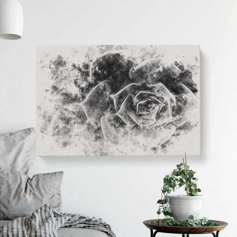 Succulent Plant - Wrapped Canvas Print, 60cm H x 91cm W x 3cm D