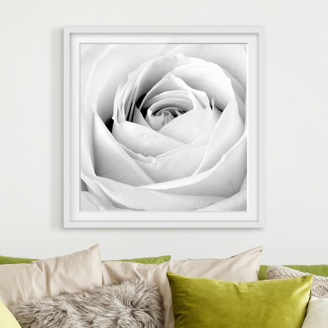 Gerahmtes Papierbild Rose Nahaufnahme