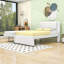 Lit plateforme double tapissier avec lit gigogne multifonctionnel-1942639797