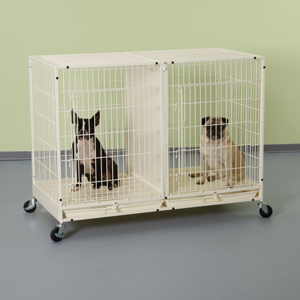 Rothermel Steel Pet Crate with 2 Doors, 32.5" H x 23.63" W x 47.5" D