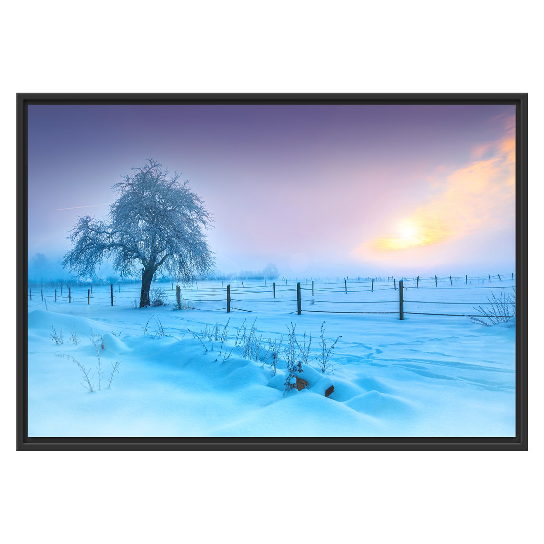 Gerahmtes Wandbild Baum in Winterlandschaft