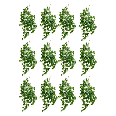 Brosse réaliste Pothos