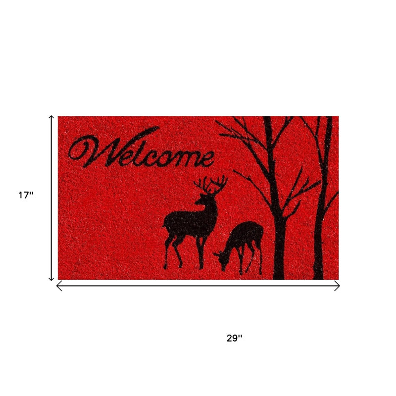 Paillasson 17 po x 29 po