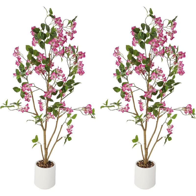 120cm Plant