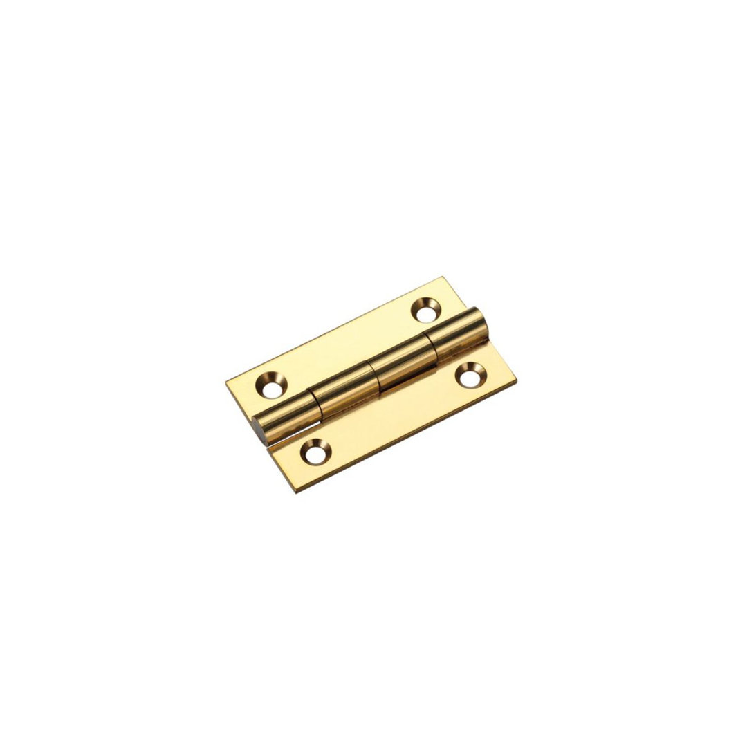 Butt Hinge