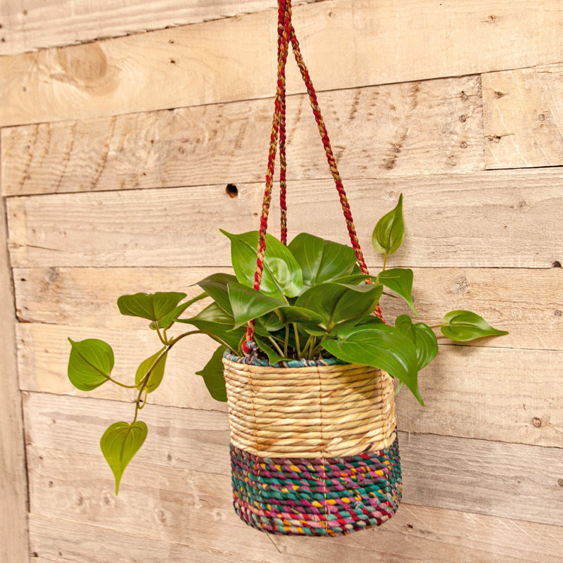 Litzy Handmade Hanging Planter