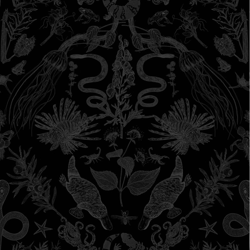 Papier peint Critter, Noir / gris