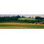 Country Meadows by Parvez Taj - Wrapped Canvas Panoramic Print-929672976