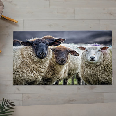 Élégant tapis non tissé à motif mince avec motif floral éclatant, parfait pour ajouter une touche de couleur à tout espace de vie