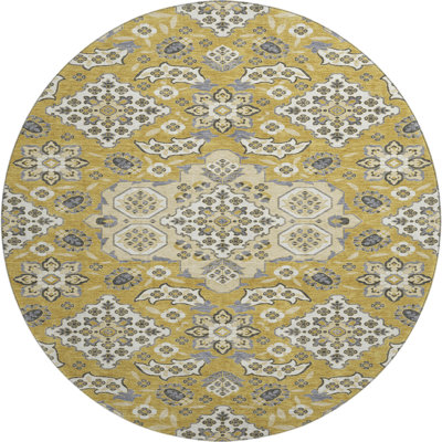 Premium Machine Washable Xamiera AMF1853 Global Rug