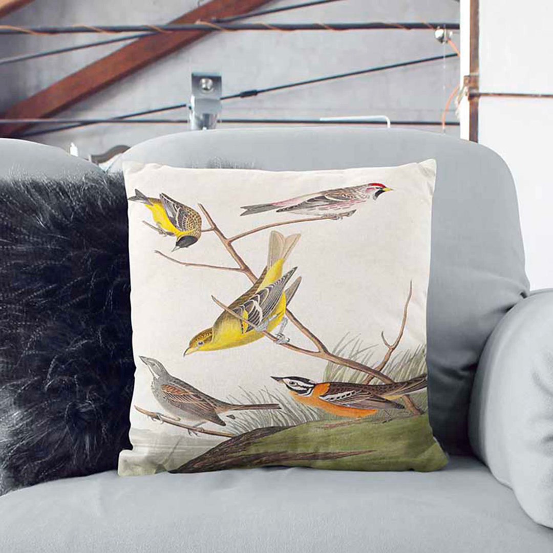 Assortment of Birds by John James Audubon Cushion with Filling