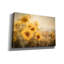 «Fall Sunflowers» par Ashley Bradley, art mural-1864049680