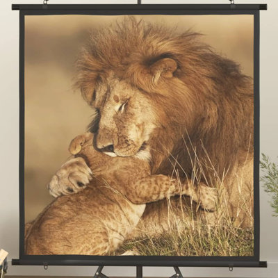 Artun White Manual Projection Screen