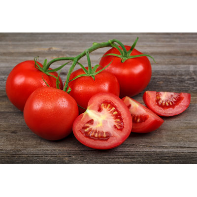 Fresh Tomatoes - Wrapped Canvas Print