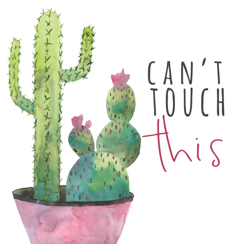 Cant Touch This Cactus - Wrapped Canvas Painting, 76cm H x 76cm W x 3.8cm D