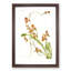 Magnolia Flowers Illustration Tab. 60 by Frederick Sander - Picture Frame Painting Print-55760201-55760200
