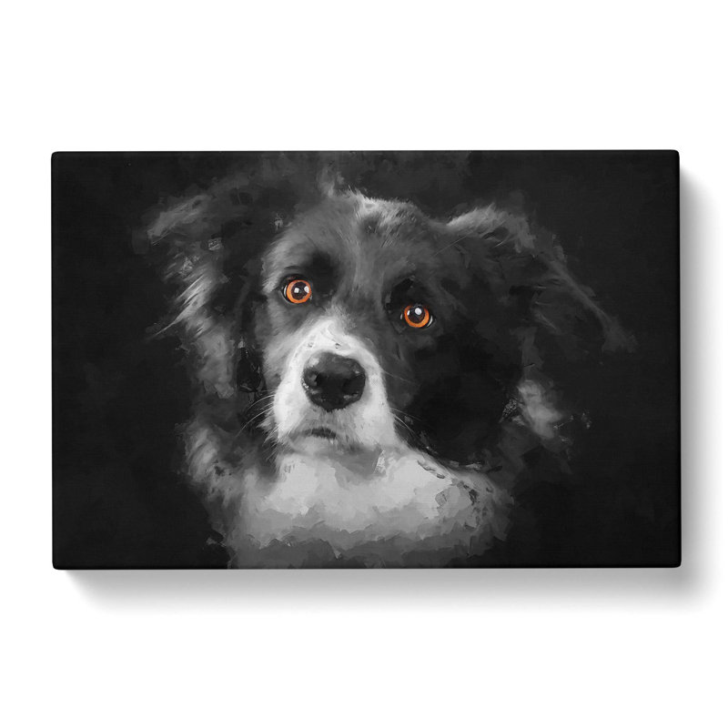 Brown Eyed Border Collie Dog In Abstract - Wrapped Canvas Painting, 40cm H x 60cm W x 3cm D