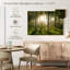 Birch Forest Sunlight-1269280448-1269280451