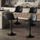 Birecree Leather Seat Adjustable Counter Height Modern Swivel Bar Stools with Backs Island Chairs for Home Kitchen