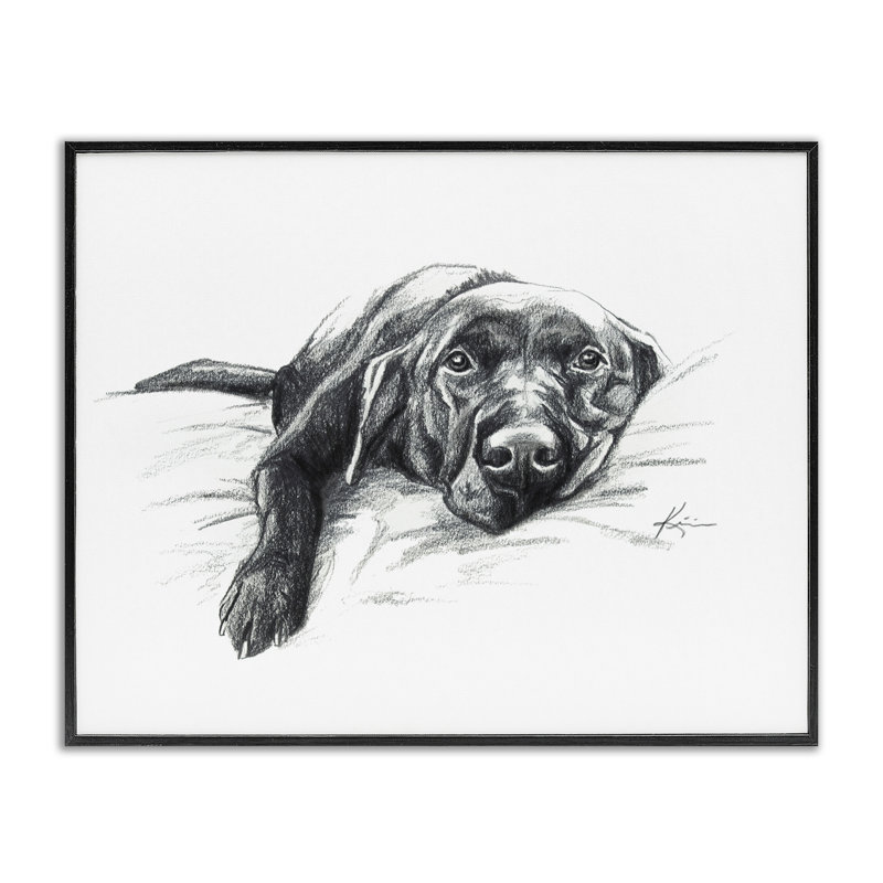 Stupell Industries Naptime Labrador, estampe numérique encadrée par Lindsay Kivi Fine Art, H 11 po x l 14 po