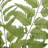 Country Ferns Set/2