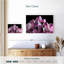 Alvord mauve améthyste quartz-107683558