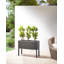 Amanuel Handmade Planter Box-1423744742