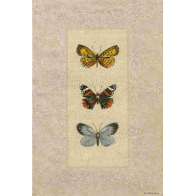Butterfly Trio II