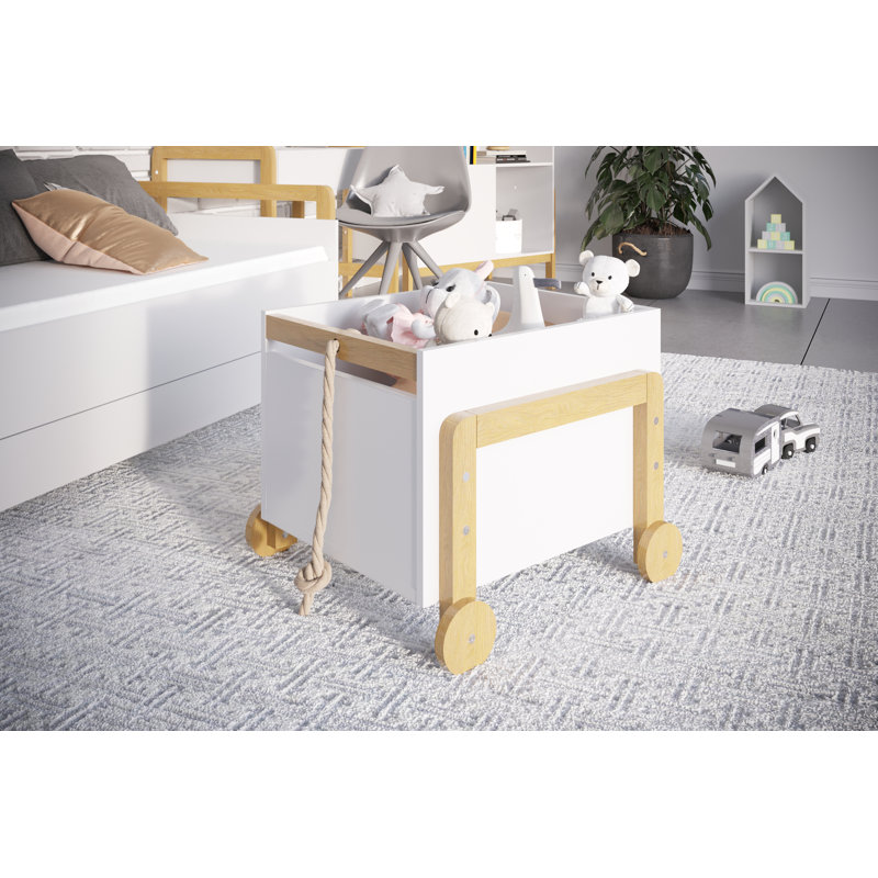 Camdyn Toy Box