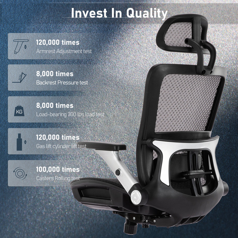 Chaise de bureau ergonomique en filet avec support de taille réglable et accoudoirs, jusqu'à 275 lb , Noir, noir, noir, noir