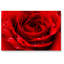 Print on Glass-805209960-805209962