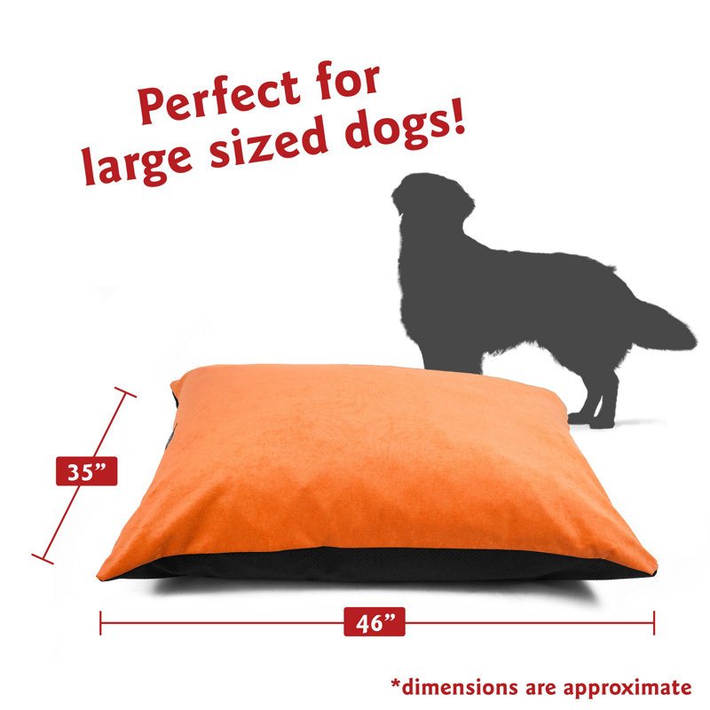 Coussin pour chien Villa Majestic, Orange, Grand (l 46 po x P 35 po x H 4 po)