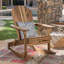 Dewitt Outdoor Adirondack Chair-27443936
