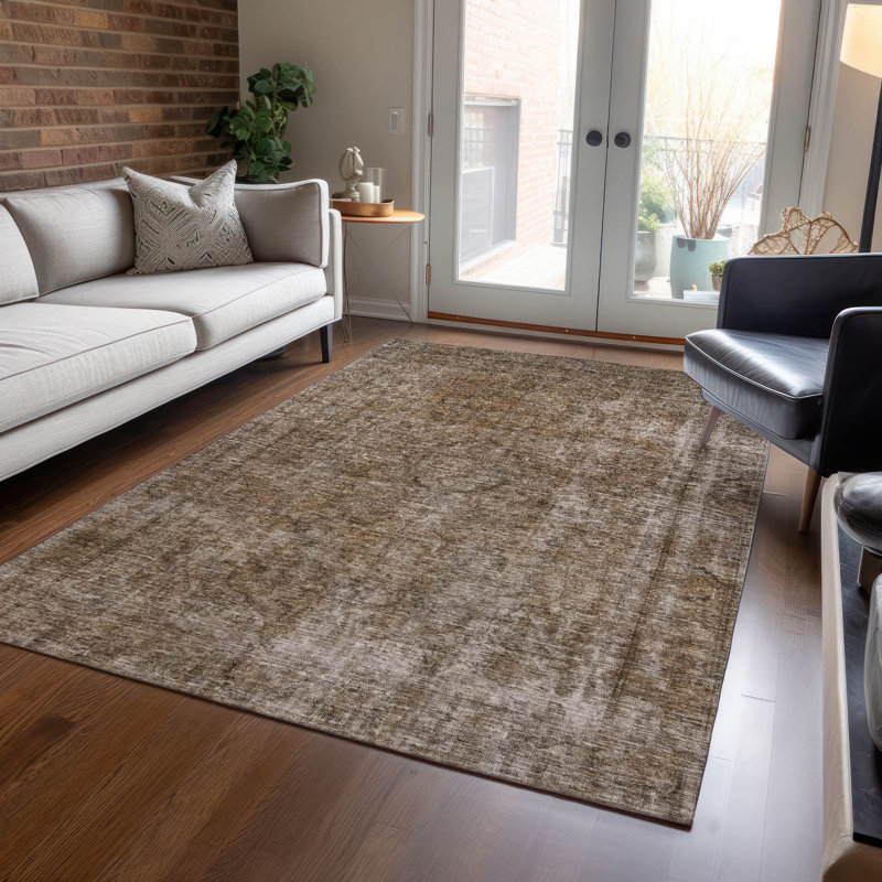 Tapis brun intérieur / extérieur lavable à la machine Cinead ACN1656, Rectangle 2 pi 6 po x 3 pi 10 po